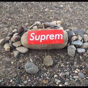 Meet your Posher, Colby